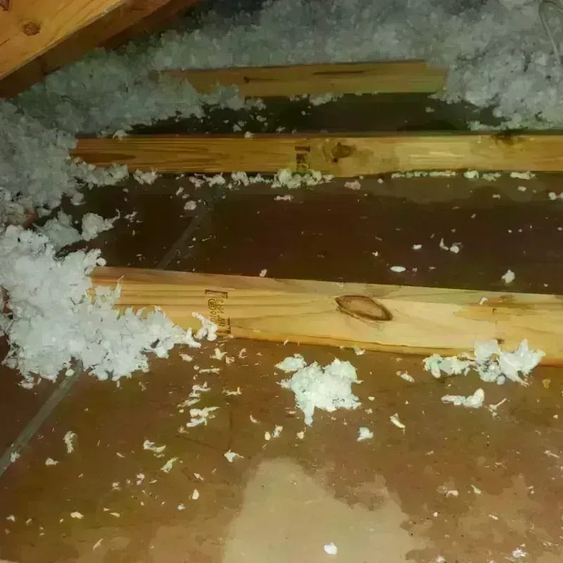 Attic Water Damage in Rolesville, NC